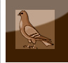 Dépigeonnage